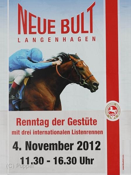 2012/20121104 Neue Bult Renntag der Gestuete/index.html
